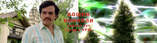 apvp Остров