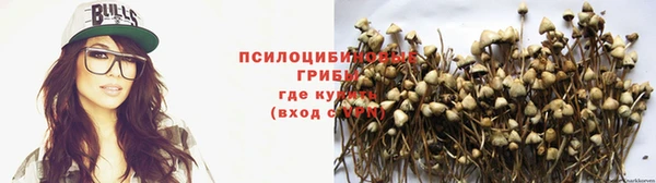 apvp Остров
