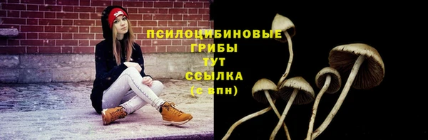 МДМА Осташков