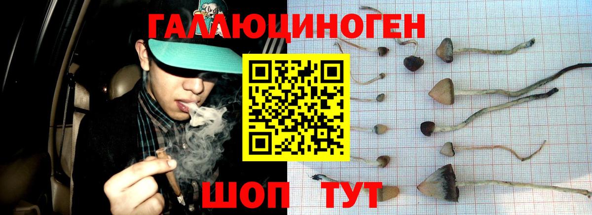 Галлюциногенные грибы прущие грибы Ижевск